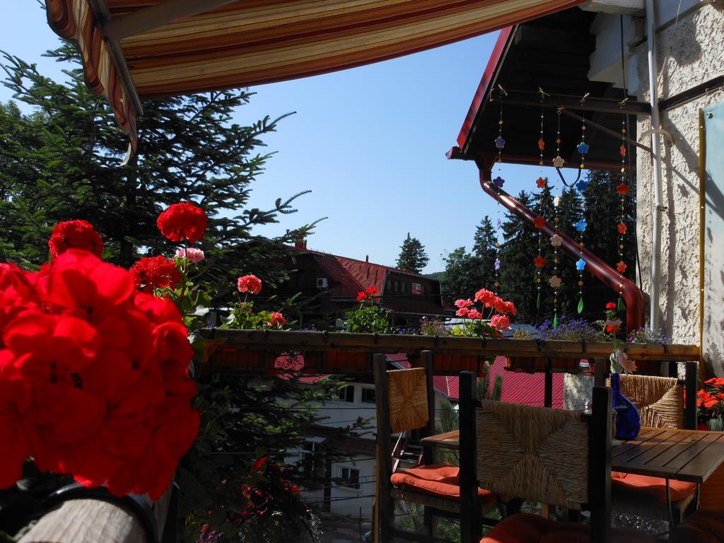 Bistro-Pension La Teleferic Sinaia Zewnętrze zdjęcie