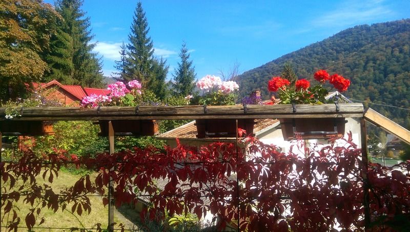 Bistro-Pension La Teleferic Sinaia Zewnętrze zdjęcie