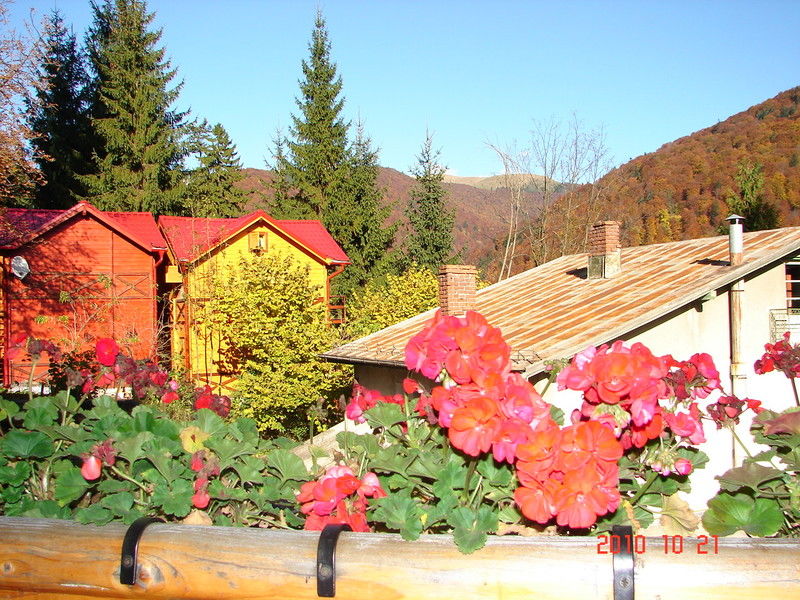 Bistro-Pension La Teleferic Sinaia Zewnętrze zdjęcie