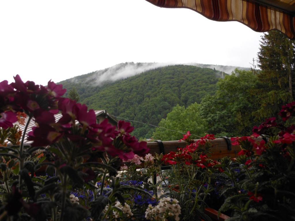 Bistro-Pension La Teleferic Sinaia Zewnętrze zdjęcie